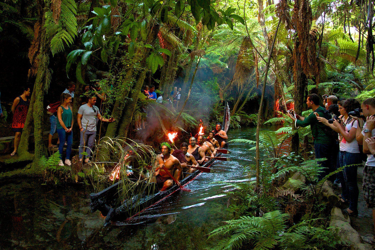 Auckland: Rotorua Māori Cultural &amp; Geothermal Tour &amp; Mittagessen