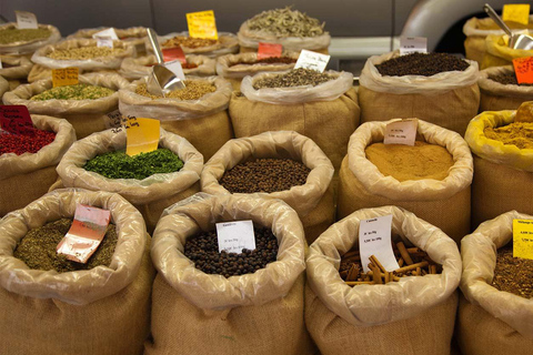 Mauritius: North Tour with Tea Tasting & Oceanarium Entry