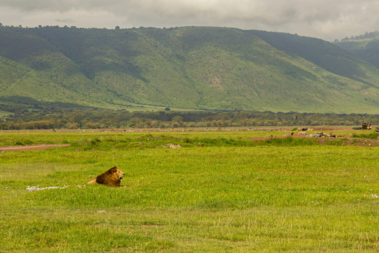 Safari de 2 jours dans le Tarangire et le cratère du Ngorongoro (milieu de gamme)