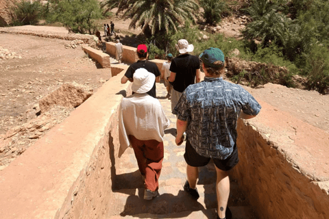 Tozeur: Chebika, Tamaghza, Mides & Sahara StarWars Day Trip