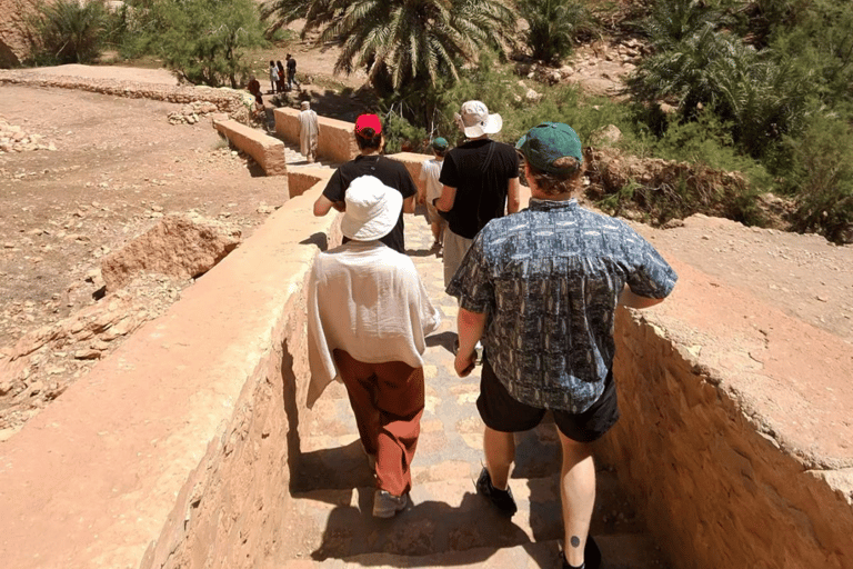 Tozeur: Chebika, Tamaghza, Mides & Sahara StarWars Day Trip