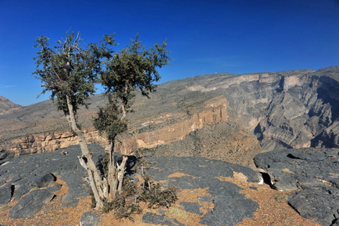 Excursion privée d&#039;une journée à Nizwa et Jabal Shams (Grand Canyon)