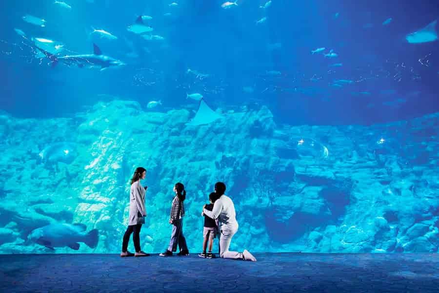 HK Elite: Private nächtliche Tour mit Bootsfahrt, Dinner im Aquarium und Peak. Foto: GetYourGuide HK Elite: Private nächtliche Tour mit Bootsfahrt, Dinner im Aquarium und Peak. Foto: GetYourGuide