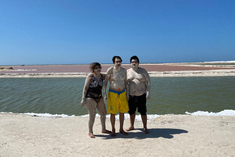 Rio Lagartos et Las Coloradas : EcoSafari Flamingo DeluxRio Lagartos et Las Coloradas : EcoSafari Flamingo Deluxe