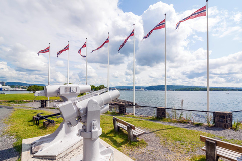 Skip-the-line Fram Museum Oslo Private Tour with Tickets 2-hour: Fram Museum