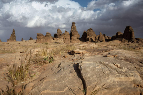 AlUla: Mount Al-Qaws & Al-Gharameel Guided 4x4 Tour Fees for a group of 4 people