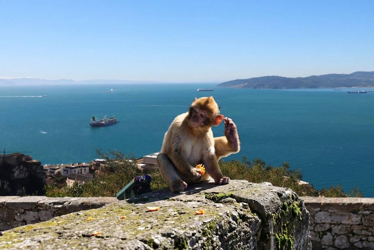 Gibraltar & Marbella mit ortskundigem Guide und Freizeit