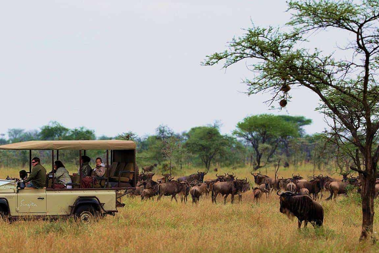 4 Tage Nakuru Lionhill und Sarova Mara Private Luxussafari