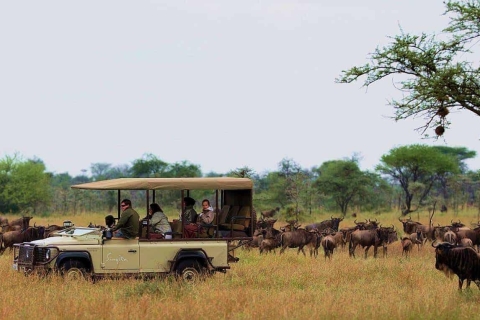 Safari de 4 jours à Amboseli, Tsavo Ouest et Tsavo Est