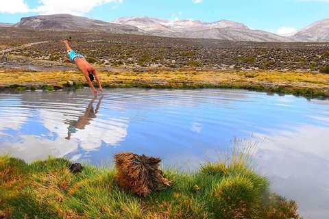 Tour van Salinas en Yanaorco lagunes + Lojen thermale baden