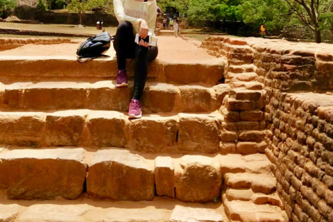 From Colombo: Dambulla, Sigiriya, and Jeep Safari Day Trip