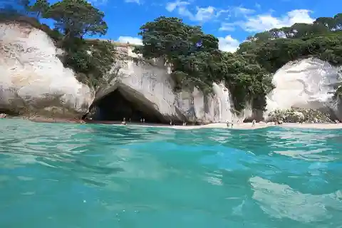 Auckland: Cathedral Cove, Hot Water Beach & Coromandel Tour