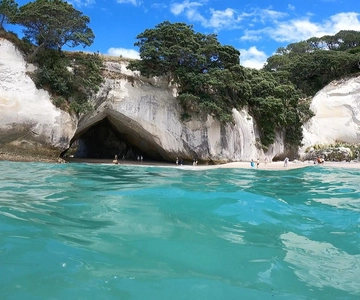 Auckland: Cathedral Cove, Hot Water Beach & Coromandel Tour