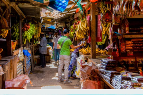 Zanzibar: Jozani forest, stone town tour & Prison island Private tour With Hotel pick up and drop off included