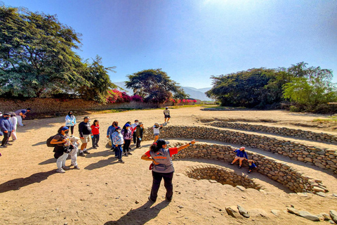 Da Ica o Huacachina: Escursione di un giorno a Nazca