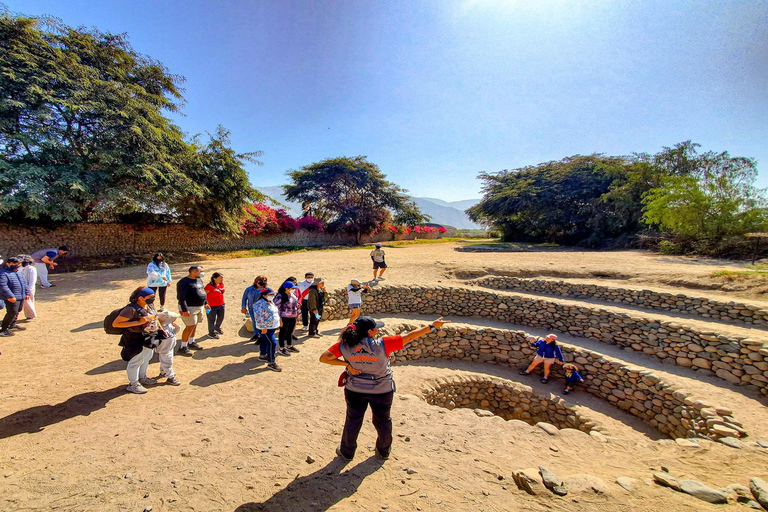 Da Ica o Huacachina: Escursione di un giorno a Nazca