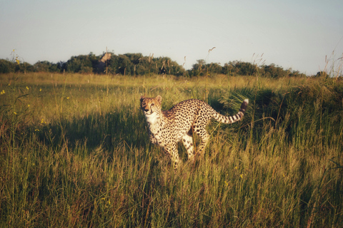 Arusha: Safari di 6 giorni nel Serengeti con visita al villaggio MasaiArusha: safari di 6 giorni nel Serengeti con visita al villaggio Masai