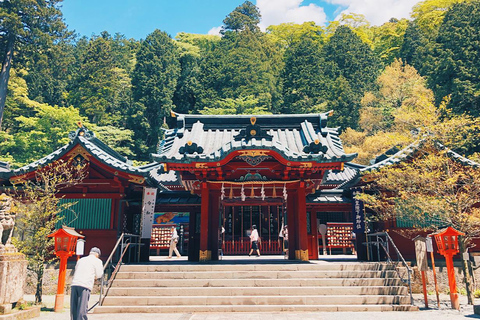 Tokyo: Tour di un giorno del lago Ashi e della funivia del Monte Fuji e della Valle di OwakudaniPrelievo dalla stazione di Tokyo alle 8:00