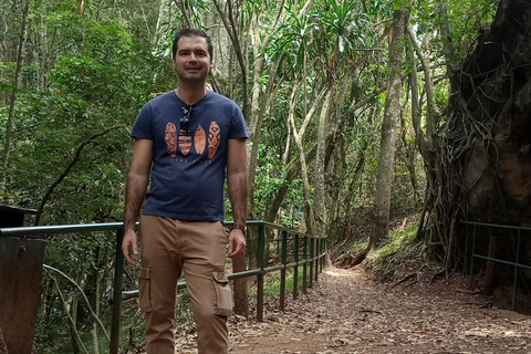 Karura forest: A walking tour into Nairobi's Nature Oasis