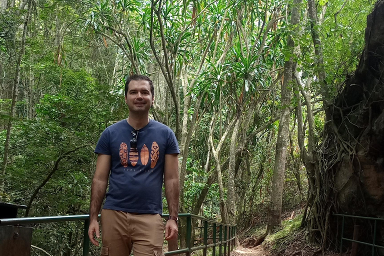 Karura forest: A walking tour into Nairobi's Nature Oasis