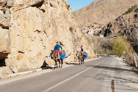 Marrakech : randonnée dans l'Atlas et nuit au village