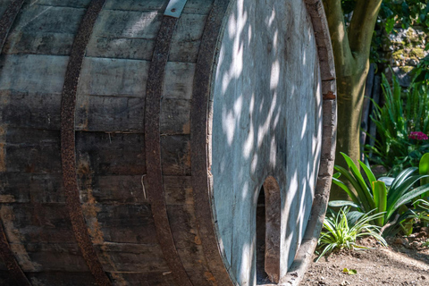 SORRENTO : Dégustation de vins avec vue sur la mer dans une plantation de citronniers