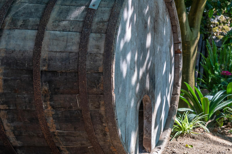 SORRENTO : Dégustation de vins avec vue sur la mer dans une plantation de citronniers