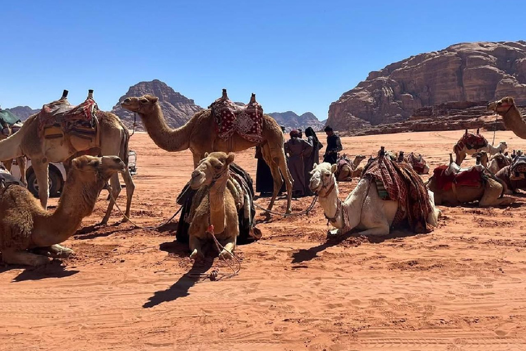 Wadi Rum: Half-Day Camel Tour with Guide Wadi Rum: jeep tour 4x4 4hours 1_6 people