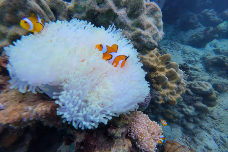 Krabi: Phi Phi Islands and Railay Sunset Tour