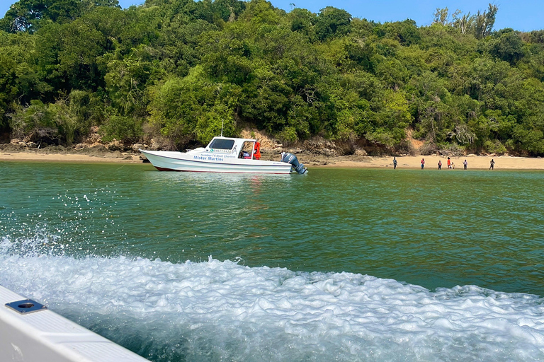 Expérience de pêche en haute mer à Maputo