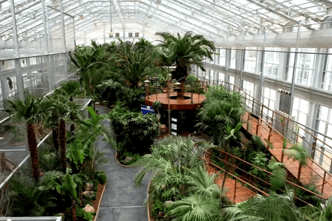 Gyeonggi Begonia Bird Park Ticket