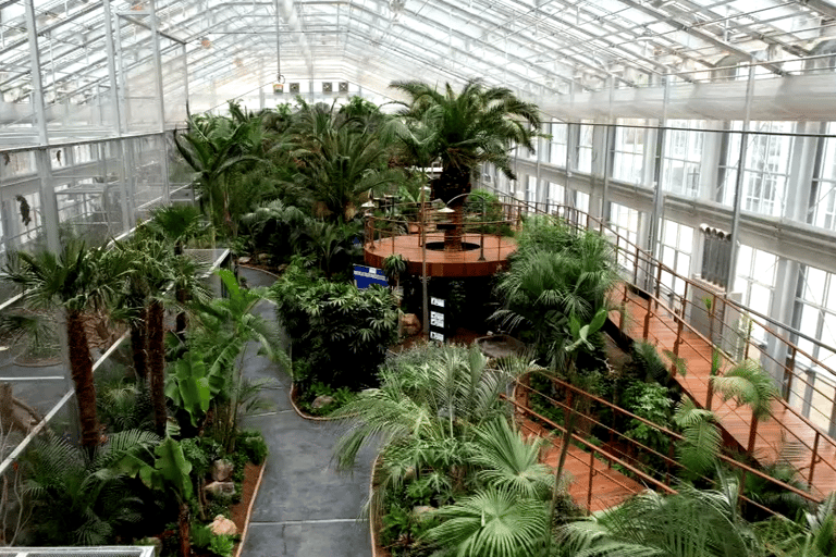 Gyeonggi Begonia Bird Park Ticket