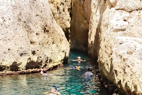 La Ciotat: Boat Tour in the Calanques with swimming