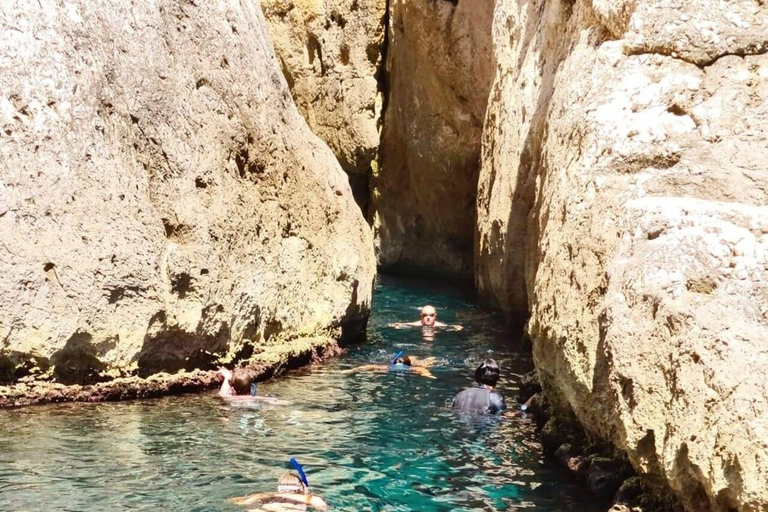 La Ciotat: Boat Tour in the Calanques with swimming