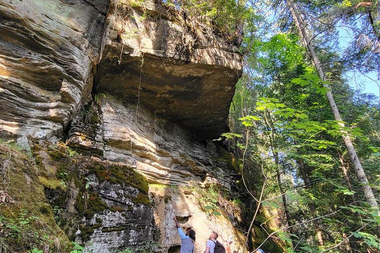 Vancouver Island: Jurtenaufenthalt, Wasserfall, Strände und Skywalk