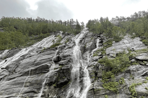 Best of Bergen: Fjord Cruise and Guided City Walk