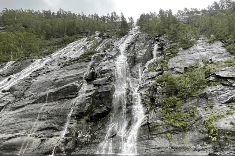 Best of Bergen: Fjord Cruise and Guided City Walk