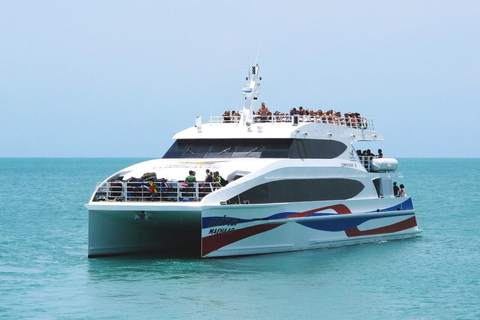 Krabi to Koh Samui by Coach and Boat By Coach and Speed Catamaran