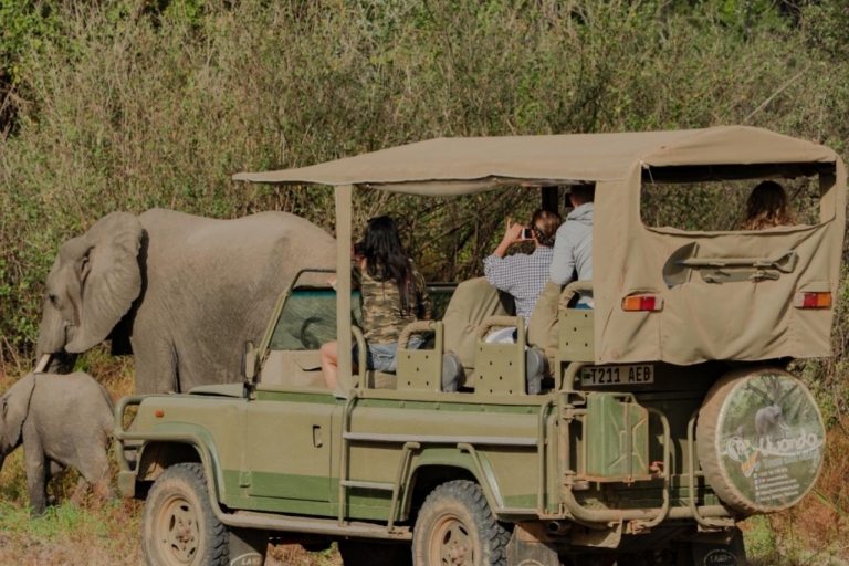 3 Day Honeymoon Safari Zanzibar to Nyerere NP By Flight