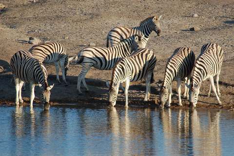 10 Days Beauty of Namibia | Guided Camping