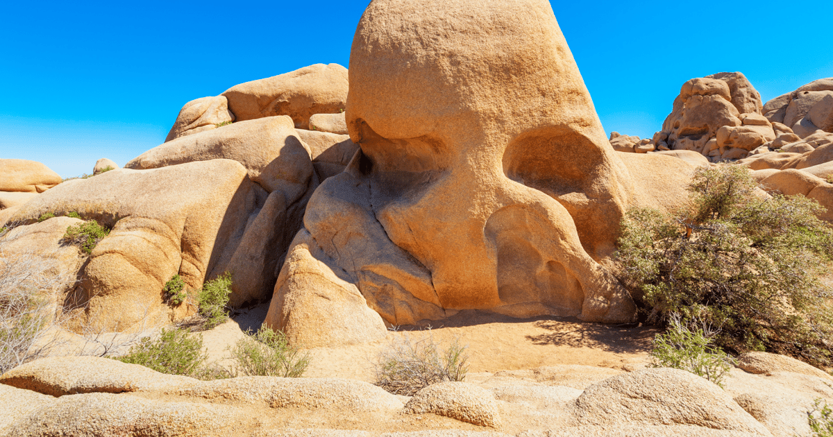Parc national de Joshua Tree L'ultime circuit en voiture dans le