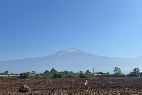 Moshi/Arusha: Chemka Hot Springs Materuni Waterfall Day tour 2 in 1 : Materuni & Chemka tour from Moshi