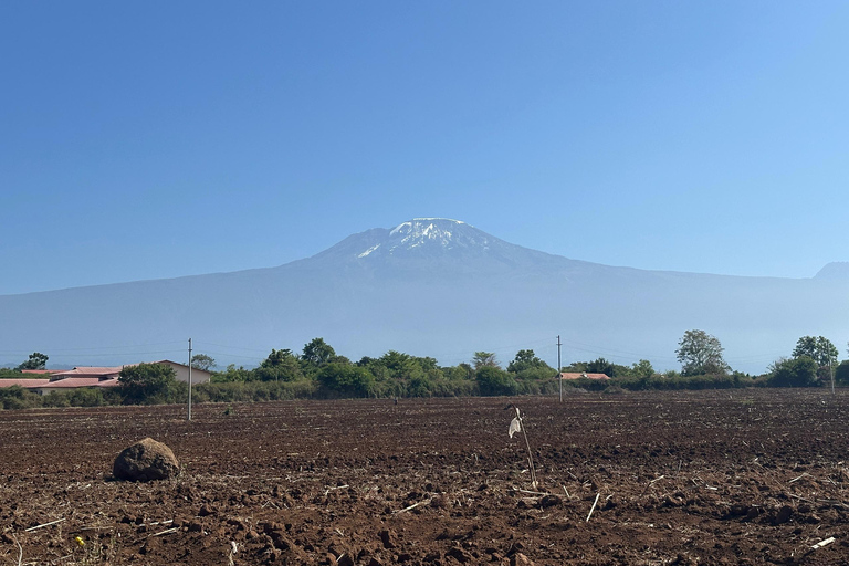 Moshi/Arusha: Chemka Hot Springs Materuni Waterfall Day tour 2 in 1 : Materuni & Chemka tour from Moshi