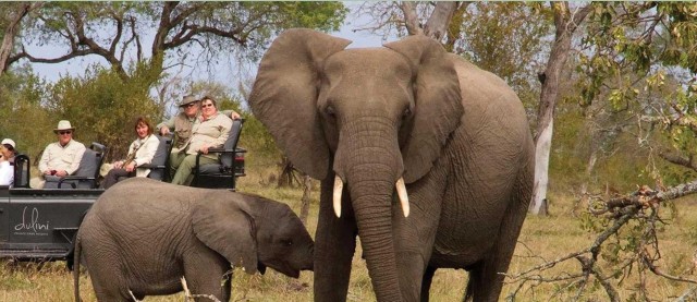 Visit Kruger National Park Big 5 Tour - 4 days from Johannesburg in Kruger National Park, South Africa