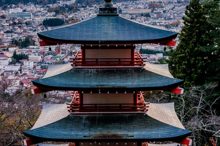 Tokyo:Mount Fuji Explorer Private Tour(Customised)With Guide