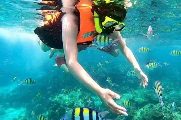 Phuket: Phi Phi Islands & Bamboo Island Day Trip with Pickup