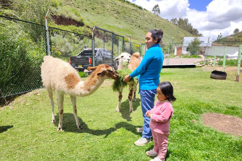 From Cusco: Sunset Llama Trek with Stargazing & Bonfire