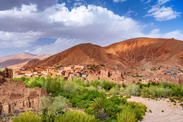 Agadir or Taghazout: Paradise Valley Atlas Mountain Trip