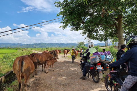 Dalat to Cat Tien National Park, drop-off Ho Chi Minh Private tour by Car