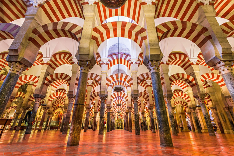 Cordoba: Your Tour of the Mosque-Cathedral with a Real French Guide Cordoba: Mosque–Cathedral guided tour in English